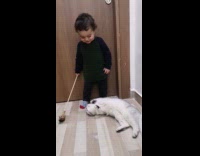 Collab PLC - Boy use feather stick play with cat