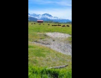 Submitter showing view at wildlife conservation centre 