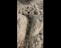 Guy sees dead rat stuck in snow 