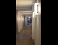Dog walks man to elevator every morning for work