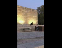 Woman lie down and raise feet up pose