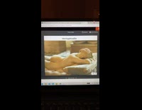 Girl learns about hermaphrodite in class