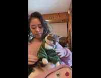 Lady Puts Dinosaur Hoodie on Cat