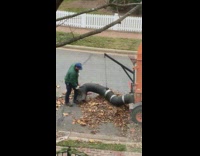 Man vacuum dried leaves street machine