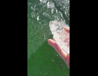 Guy breaks ice floating on green water