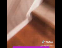 Pug dog walks down wood stairs 