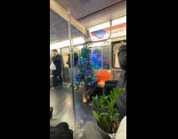 Man wearing Christmas tree costume on subway