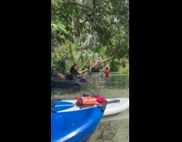 Man climbs and lie down on inclined tree river Part 1
