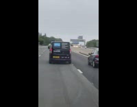 Brown duck flies down freeway with cars 
