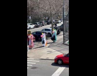 Collab WINY - People in Inflatable Cow Costume Crosses Street