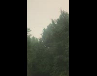 Collab DailyDoseOfInternet - Smoke fire across Ontario covers view