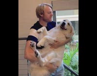 Guy holds white dog recreates puppy photo  