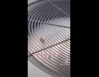 Frog holds onto bars above spinning blades 