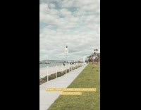 Black raven crows social distancing beach fence