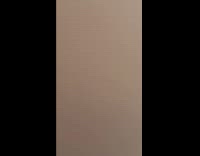 Cat sit on toilet stares at filmer