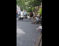 Dog suspicious of rat man until he squeaks tail 