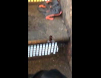 Black bra pink striped underwear metal steps 