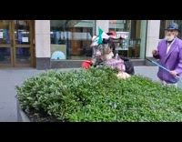 DailyDoseOfInternet - White Bunny Runs Back to its Own Cage 