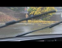 Dress rain side of road Instagram picture 