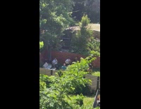 Band practices performance in yard 