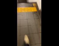 Guy and rat run down stairs to subway