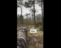 Collab Kale Salad IG - Guy wears camouflage takes photos in wild