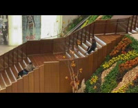 Girls block stairs for photoshoot