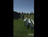 Brown dog jumps over metal bleachers ball