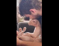 Collab AnimalIG - Sphynx cat gets face and beard rub from owner