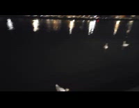 Swans swim and float on river night