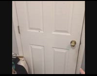 Girl is trapped in a room   with spider on the door and screams when it jumps off, voice effect