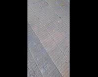 Collab Clips MPUGC - Small aggressive dog in pink jacket