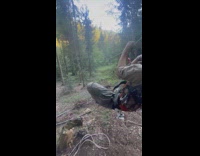 Man zipline down and hits the tree