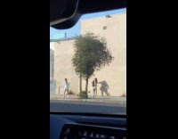 White shorts black hat girl brown wall 