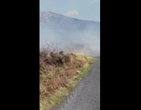 Large smoke from the grassfire near the road