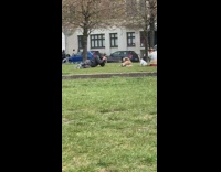 Guy hoodie jacket photograph pet dog park