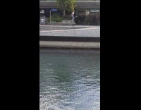 Shirtless guy dance on ledge river bird