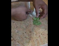 Guy saves turtle on the street, washes it, feeds it, then throws it back into lake