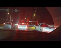 Wild moose cross street red light night