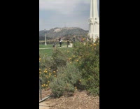 Girl tiktok dance hollywood sign yellow tape