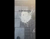 Collab BitchIG2 - Guy shaking bottle excited drops and breaks it