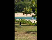 Phone tripod of woman in dress fall down