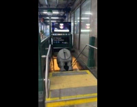 Person carry Rhino butt costume enter subway