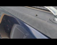 Two fly mates on the trunk of a pickup truck