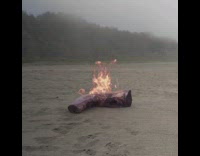 Log and bonfire forms on beach fx 