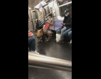Guy rat costume mask shakes butt subway 