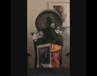 Hairdresser tries to style plant 