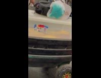 Yellow Snake Found Inside Box on Subway