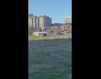 Woman in jeans twerks awkwardly at the park