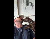 Man sings glorilla to puppy 